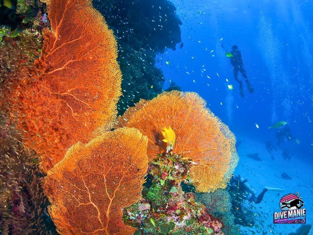 Khaolak Dive Resort Khao Lak Extérieur photo